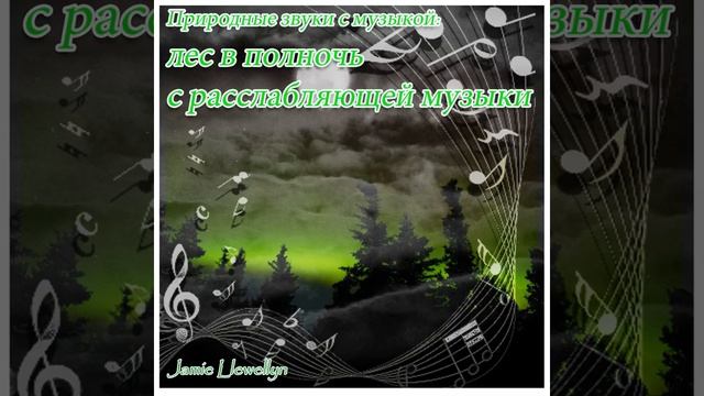 Природные звуки с музыкой: лес в полночь с... смотреть онлайн