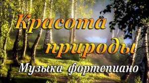 КРАСОТА ПРИРОДЫ | Музыка фортепиано