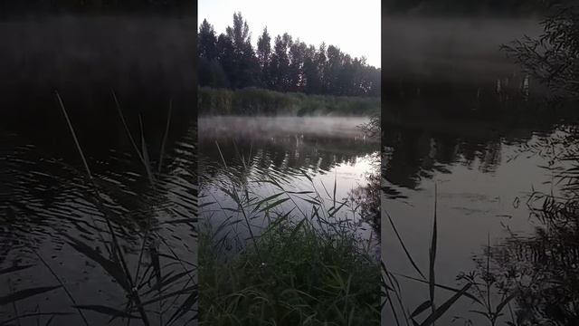 Туманное утро на рыбалке смотреть онлайн
