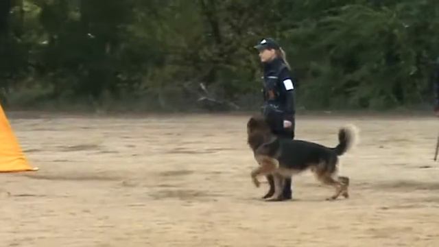 KLASSIK ALLERT ARGO 22.10.11 на монке в Волгограде. Лучшая кусачка. смотреть онлайн