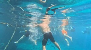 Обзор отеля: Concorde El Salam Front 5* | Шарм Эль Шейх, Египет 2023