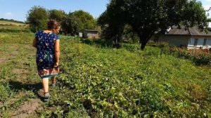 Украинское село. Огромные огороды. Прогулка к целебному источнику!!!?