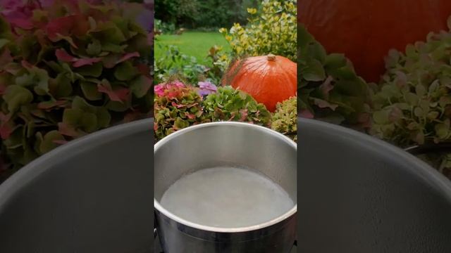 Каша из красной чечевицы с кокосовым молоком смотреть онлайн