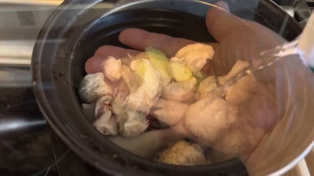 新鲜猴头菇鸡汤（Fresh Hericium erinaceus chicken soup) 20230805 смотреть онлайн