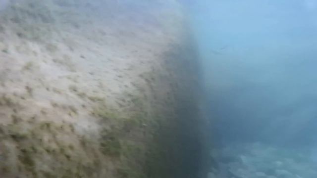 Подводный мир. Водопад "Джакузи". смотреть онлайн