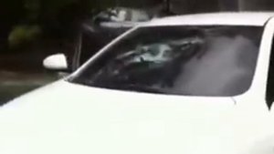 псих с битой разбил машину