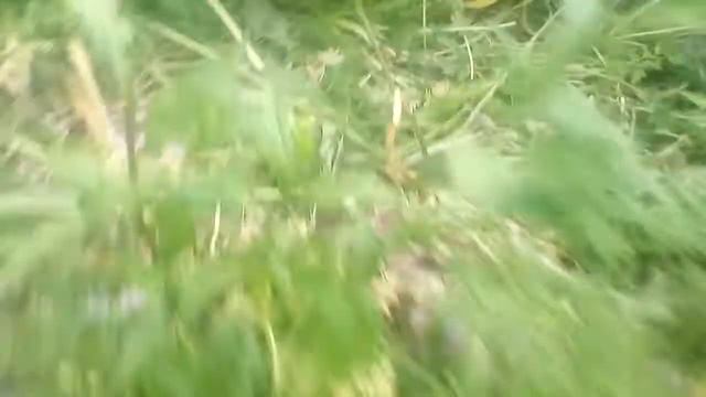 Мы нашли iPhone 4 смотреть онлайн