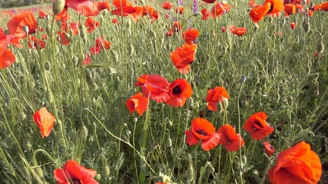 02.06.2023 Будем чуткими