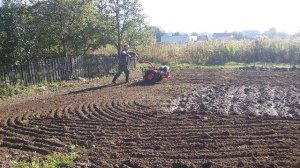 Борона  для мотоблока мтз