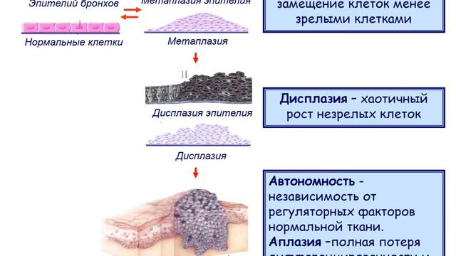 Патологическая физиология клетки