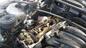 live valvetronic adaptation bmw n42 n46