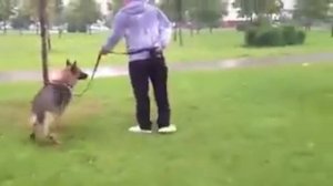 Не убрал за собакой измазали говном  Жесть!1