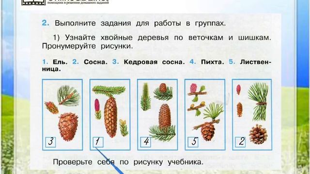 Задание 2 (1) Леса России - Окружающий мир 4 класс (Плешаков А.А.) 1 часть смотреть онлайн