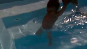 Жук-плавунец