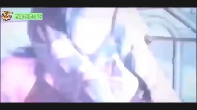 Wild Animal Attack Animal Attacks On Human wolverine animal attacks on humans #2 смотреть онлайн