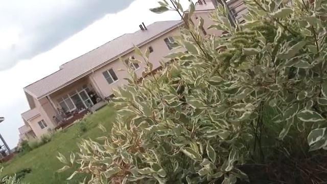 Каменки ИЮЛЬ 2013 смотреть онлайн