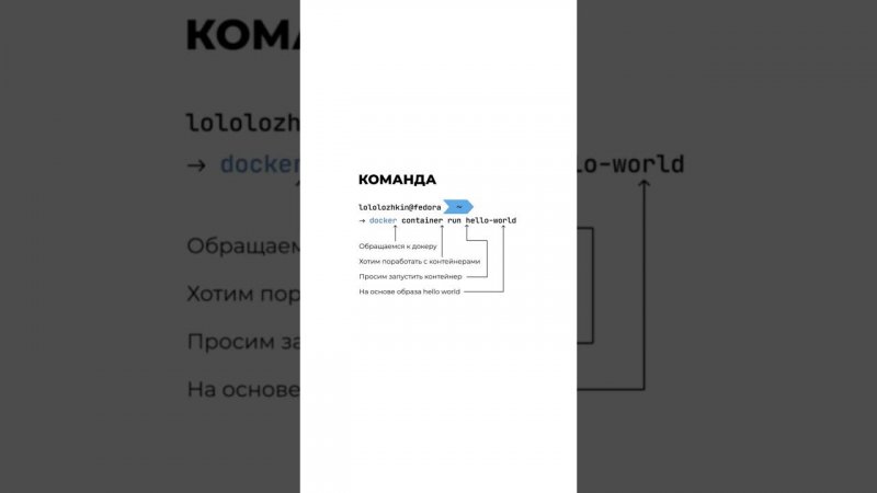 Запускаем первую команду в Docker #backend #программирование #обучение #docker #разработка #курс