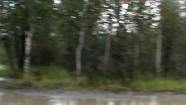 Прогулка под зонтиком(12/08/2019)#покинутыймир смотреть онлайн