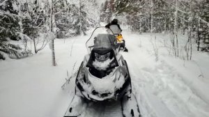 Рождественские покатушки Тайга Патруль 800,BRP scandic 800.