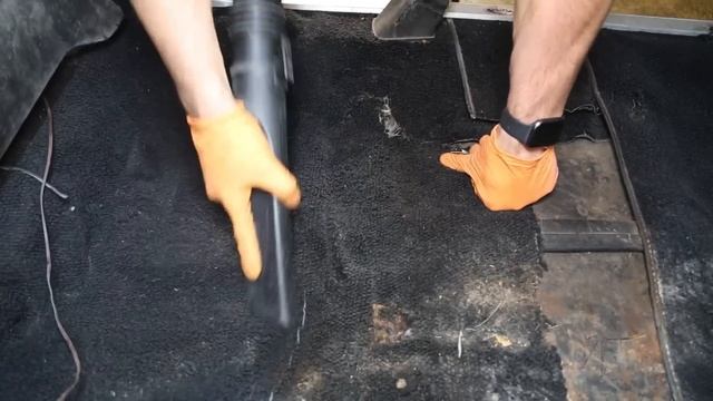 Deep Cleaning the MOLDIEST 1970 Chevelle SS EVER! | Satisfying DISASTER Car Detailing Transformatio