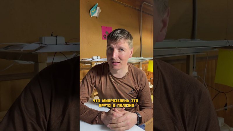 Главное верить в то, что делаешь #огородкруглыйгод #микрозелень #бизнес