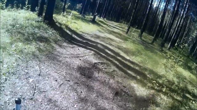 прогулка по лесу, тропа здоровья (инвалидная коляска модель 407) смотреть онлайн