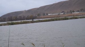 РЫБАЛКА | БАЗА ПЕТУШКИ | КАВКАЗСКИЙ РАЙОН #рыбалкакраснодарскийкрай