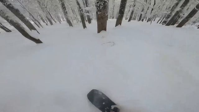 Пухляк в Красной Поляне не заканчивается! Freeride every day! смотреть онлайн