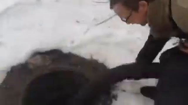 Откачка канализации Смоленск. Незаконный слив-4 смотреть онлайн