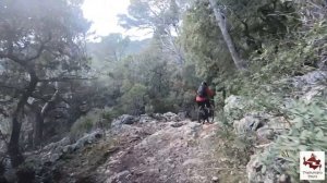 Sa Comuna MTB Tour - Tramuntana Tours Mallorca