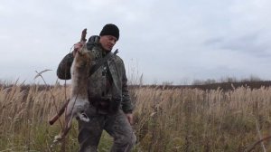 С Дратхааром на зайца