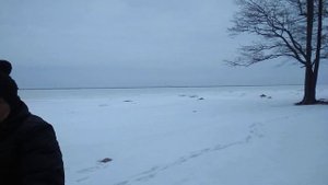 Луи-Филипп I (герцог Орлеанский) - пожранный революцией ее отец.