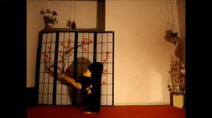 Чандра Намаскар. Федотова Алла.mp4