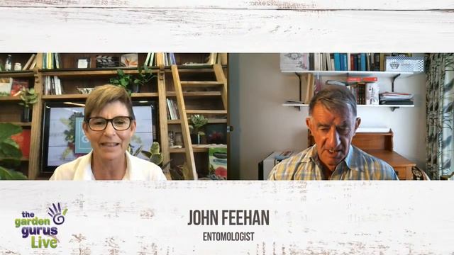 DUNG BEETLE SECRETS || The Garden Gurus LIVE with John Feehan смотреть онлайн