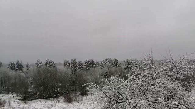№58 Скоро зима......#молодойблогер