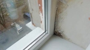 КАК ИЗБАВИТЬСЯ ОТ ГРИБКА,ПЛЕСЕНИ*КАК УБРАТЬ ГРИБОК НАВСЕГДА*СУПЕРСРЕДСТВО*ТЕСТИРУЕМ*ДЖЕРЕЛИЯ