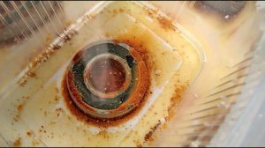 Что реально убивает подшипники электросамоката, скейтборда и роликов