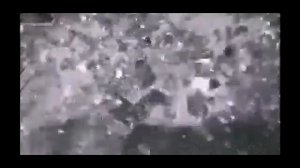 жил был кот