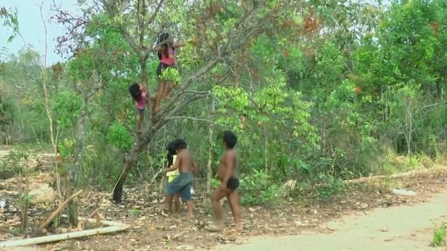 The Politics of Climate Change