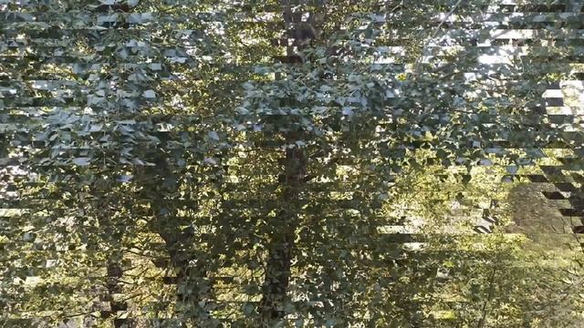 ДЕНЕЖНЫЕ ПРИМЕТЫ. ТОП 10. ЧТОБЫ ДЕНЬГИ ВОДИЛИСЬ... народные приметы и поверья