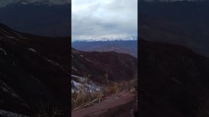 ОХОТА НА УЛАР И КУРОПАТКА ВОТ ЭТО НАСТОЯЩАЯ ОХОТА