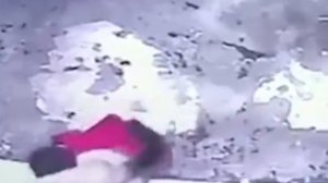 Он мог бы разбиться... Кошка спасла малыша / Истории про кошек из реальной жизни / Реальная история