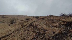 Трейл на горе Бештау - Бештаугорский Крест.