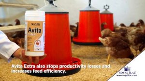 Avita Extra; Sodium bicarbonate filler supplemented with vitamins and minerals for poultry