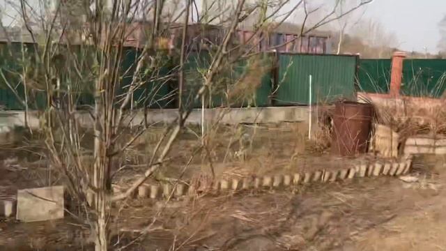 Дача. Купили заброшенный участок смотреть онлайн