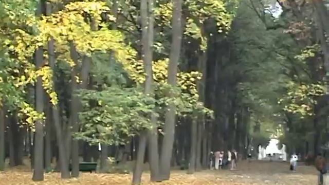 В Летнем саду до реставрации смотреть онлайн