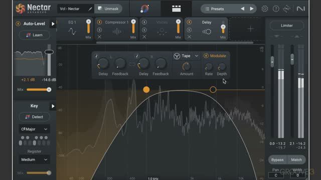 14. Delay Module