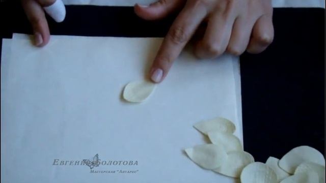 Анемона МК смотреть онлайн