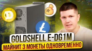 Квартирный Асик Goldshell E-DG1M | Предварительный обзор окупаемости