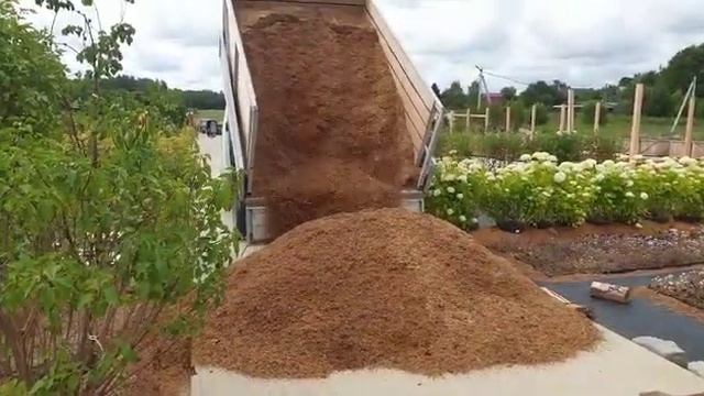 Выгрузка опилок смотреть онлайн